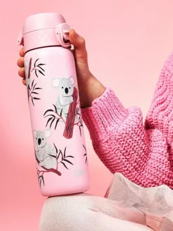 Ion8 Koala Koala 500ml Insulated Steel Water Bottle^ Branded Kitchenware