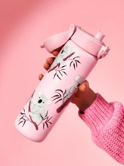 Ion8 Koala Koala 500ml Insulated Steel Water Bottle^ Branded Kitchenware