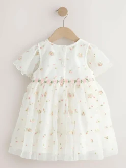 New Next Embroidered Mesh Dress (3mths-8yrs) Ivory