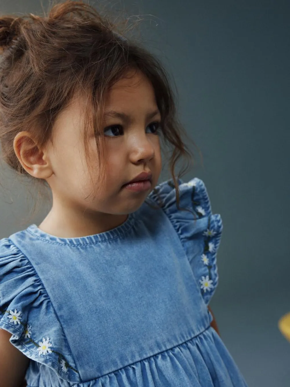 Hot Next Mid Blue Denim Frill Sleeve Dress (3mths-8yrs)