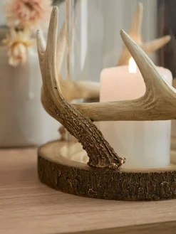 Next Natural Antler Hurricane Candle Holder^ Candle Holders & Lanterns