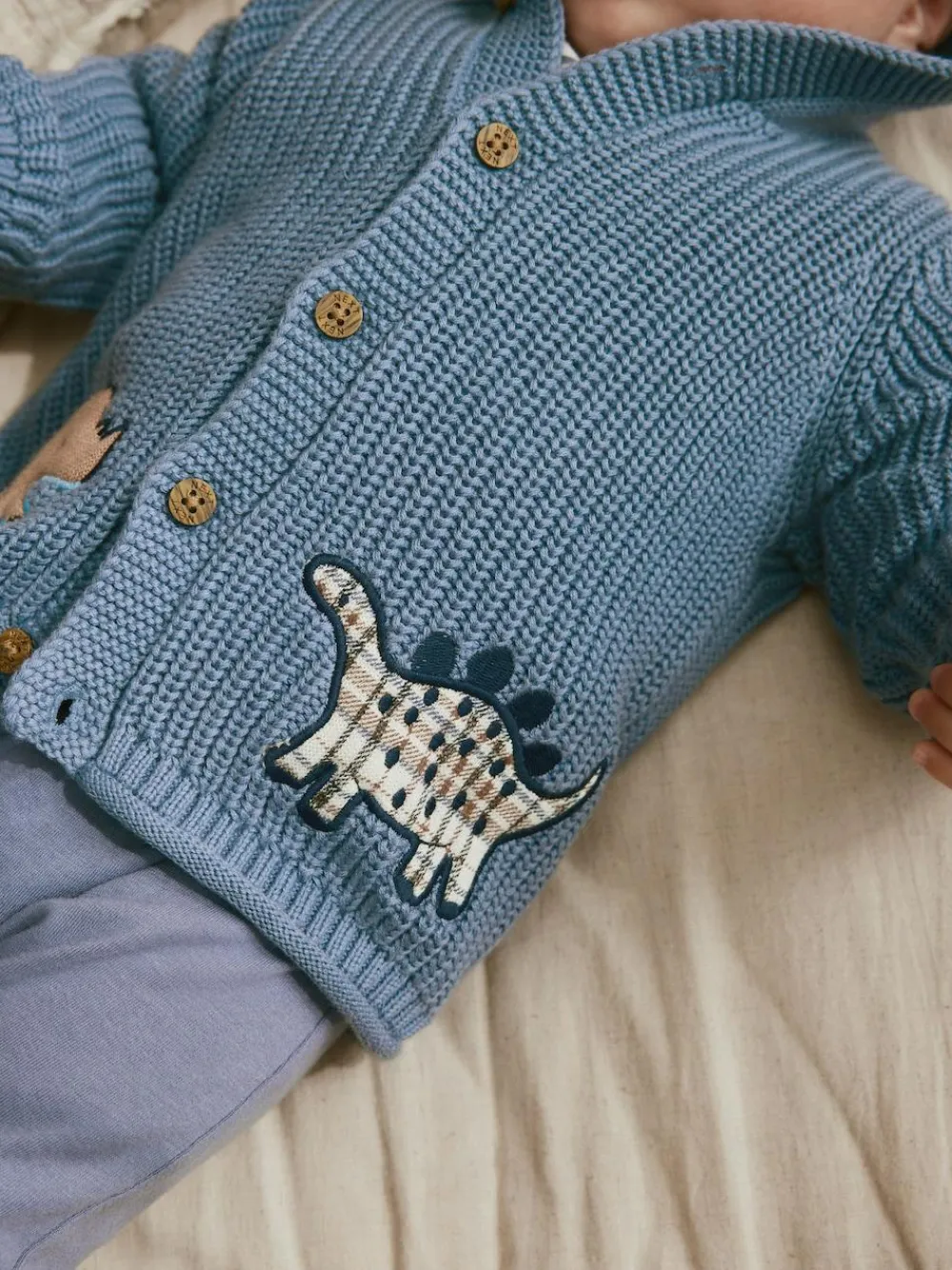 Next Navy Dinosaur Print Embroidered Baby Knitted Hooded Cardigan (0mths-2yrs)^BOY Knitwear|Knitwear