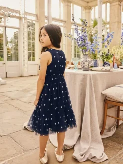 Next Flower Corsage Mesh Occasion Dress (3-16yrs)^ Occasionwear