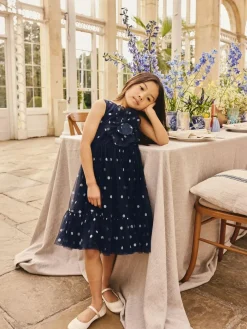 Next Flower Corsage Mesh Occasion Dress (3-16yrs)^ Occasionwear