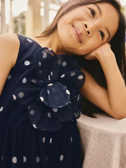 Next Flower Corsage Mesh Occasion Dress (3-16yrs)^ Occasionwear