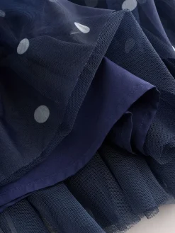 Next Flower Corsage Mesh Occasion Dress (3-16yrs)^ Occasionwear