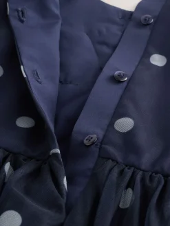 Next Flower Corsage Mesh Occasion Dress (3-16yrs)^ Occasionwear