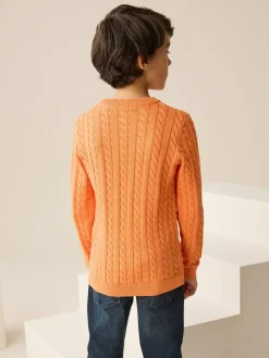 Next Orange Cable Knit Crew Neck Jumper (3-16yrs)^BOY Knitwear & Sweaters|Knitwear