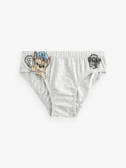 Hot Next Paw Patrol Briefs 5 Pack (1.5-8yrs)