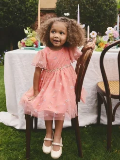 Next Embroidered Mesh Dress (3mths-8yrs)^ Dresses|Dresses