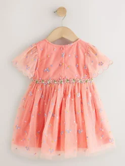 Next Embroidered Mesh Dress (3mths-8yrs)^ Dresses|Dresses