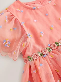 Next Embroidered Mesh Dress (3mths-8yrs)^ Dresses|Dresses