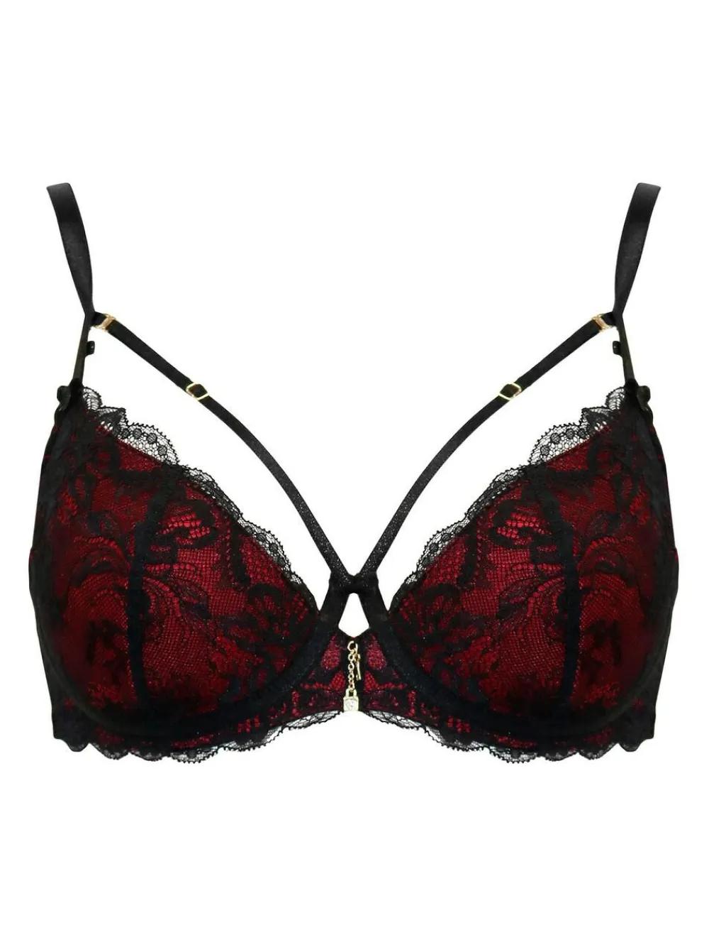 Pour Moi Padded Desire Lightly Underwired Bra^Women Dd+ Range