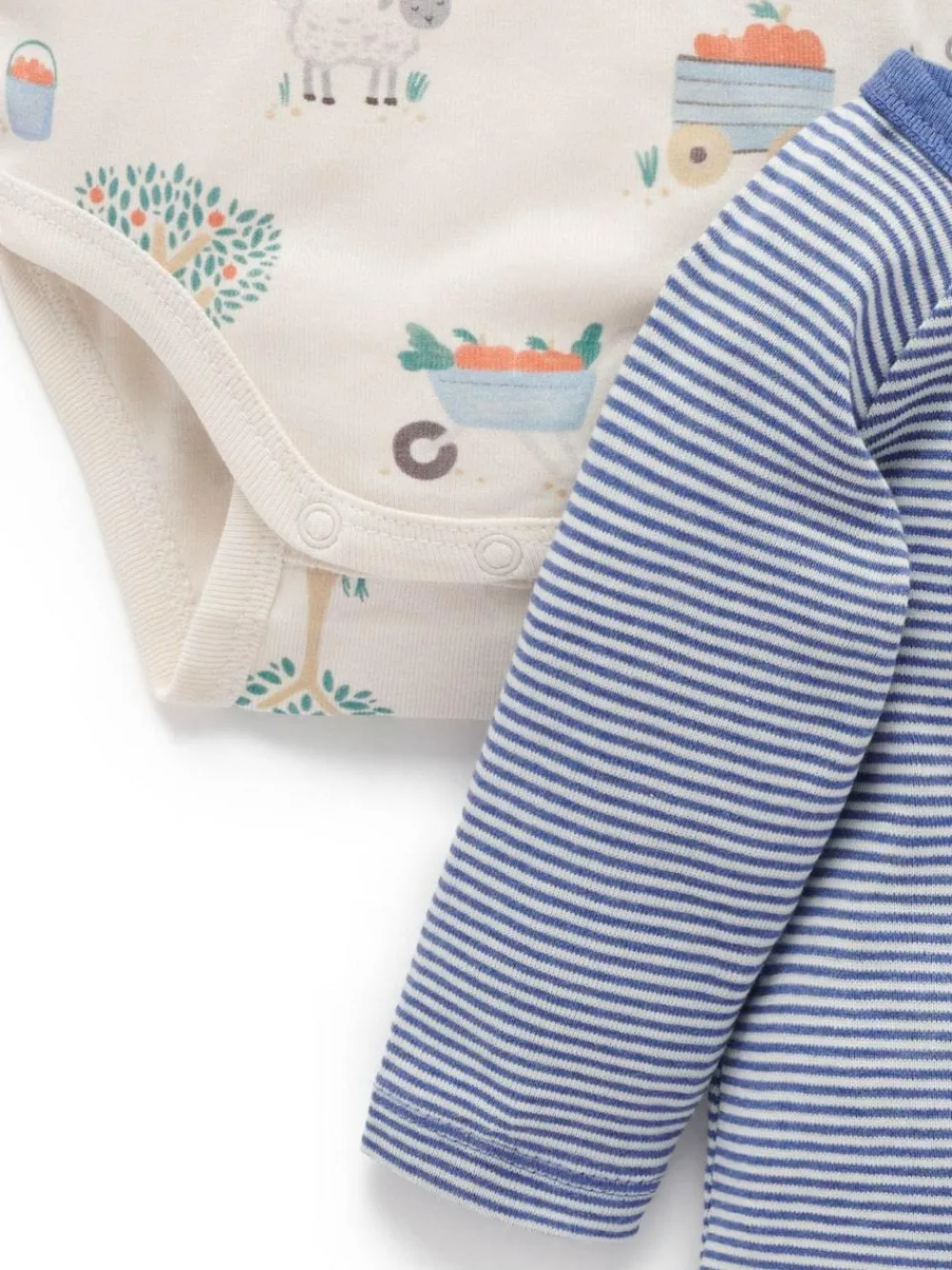 New Purebaby Bodysuits 2 Pack Blue