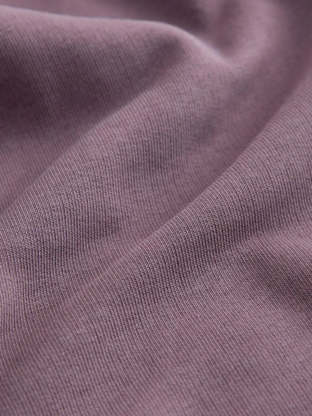 Next Purple Regular Fit Basic Shorts (3-16yrs)^BOY Shorts