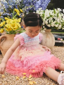 Outlet Next Rainbow Tiered Mesh Party Dress (3mths-8yrs)