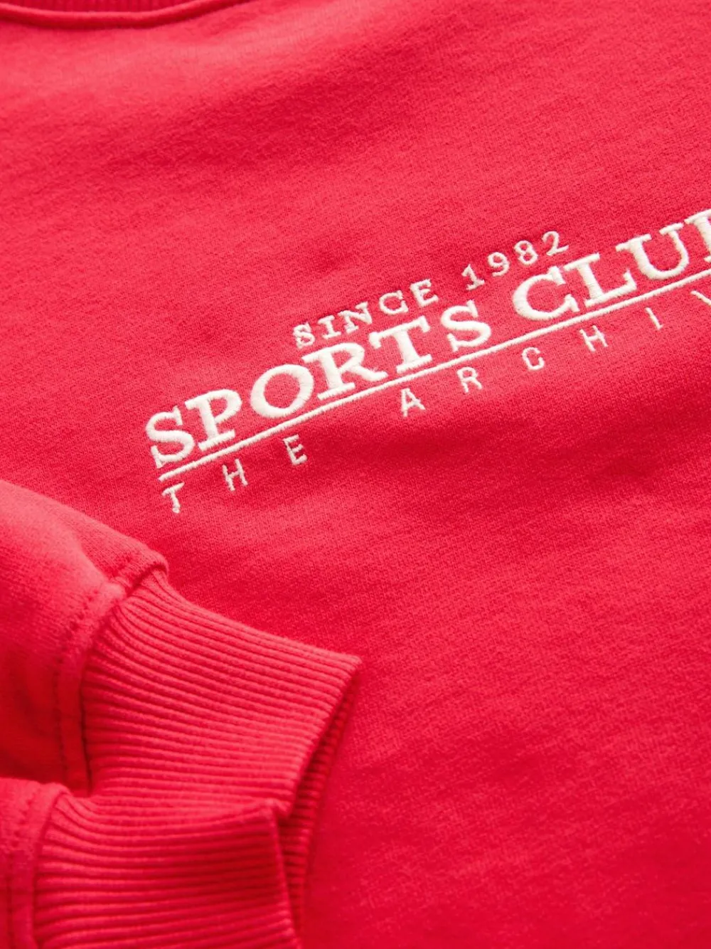 Next Sweatshirt (3-16yrs)^ Sweatshirts & Hoodies