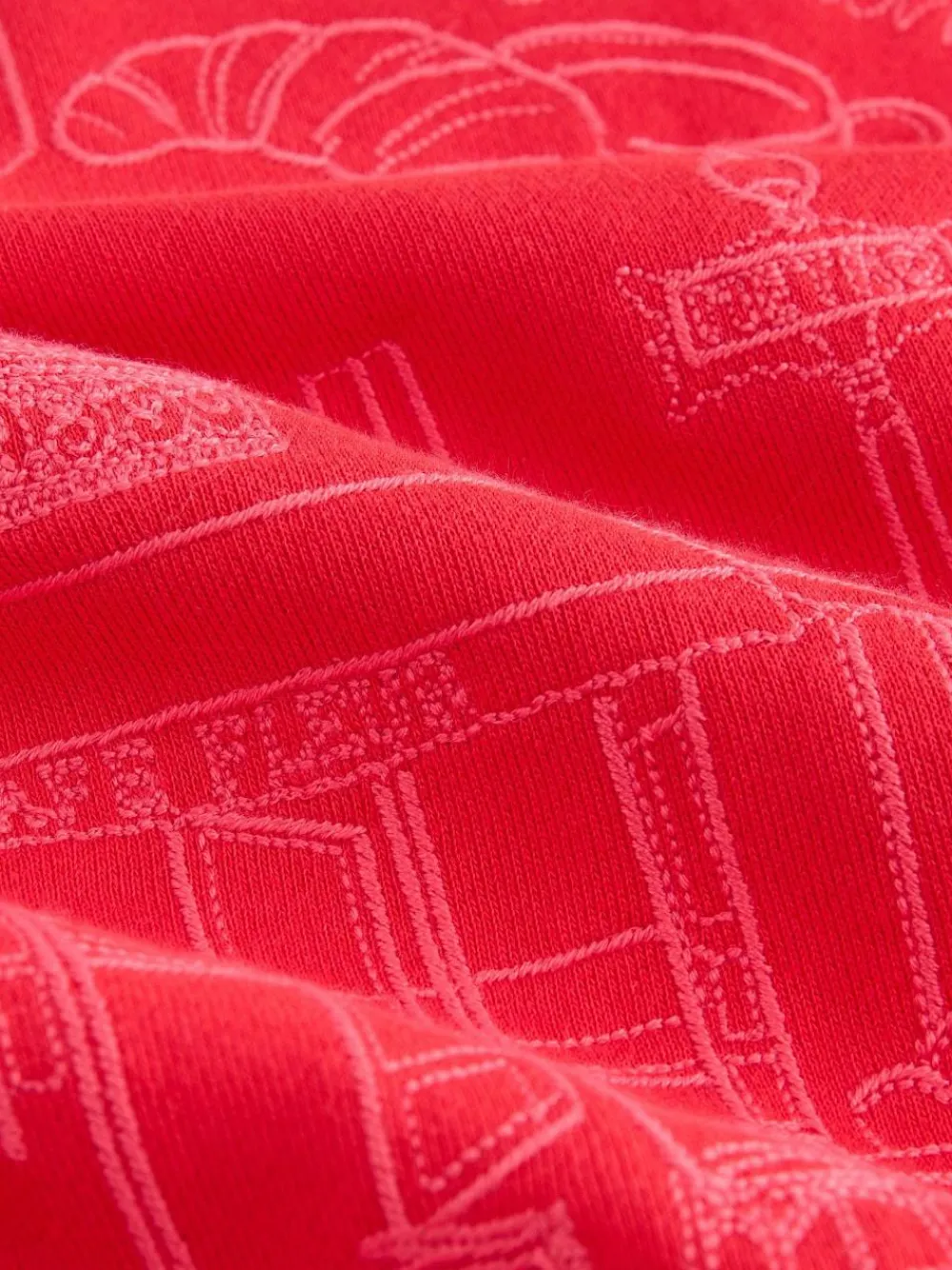 Next Red Embroidered Sweatshirt^Women Hoodies & Sweatshirts