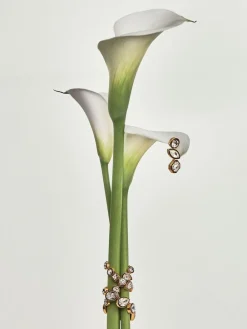 Clearance Reiss Gold Crista Crystal Drop Earrings