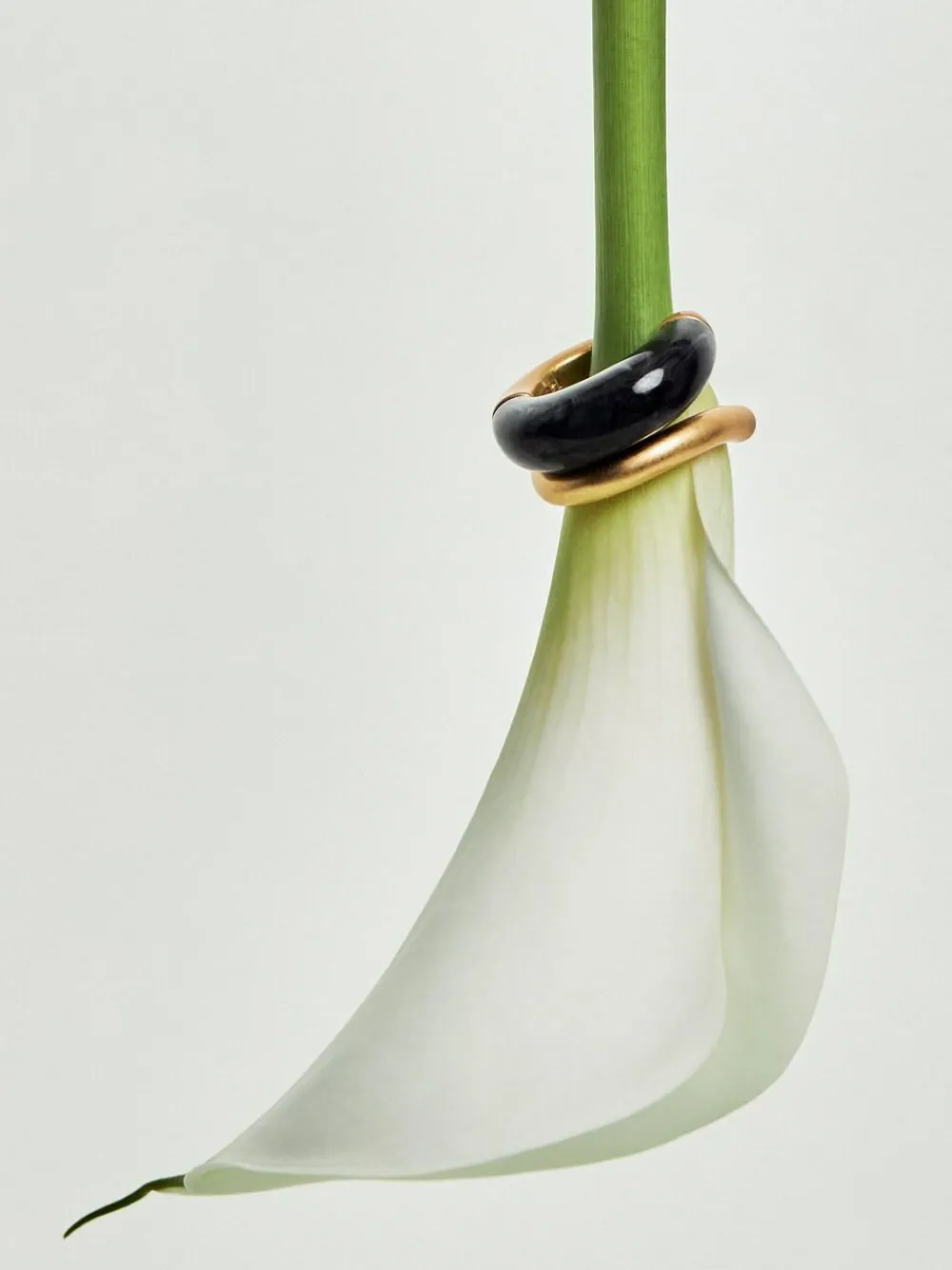 Reiss Gold Samira Tone Scoop Enamel Hoop Earrings^Women Jewellery