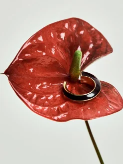 Sale Reiss Gold Thalia Tone Twist Enamel Hoop Earrings