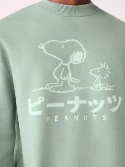 Next Sage Green Relaxed Fit Snoopy Graphic Print Crew Neck Jumper^ Knitwear|Knitwear