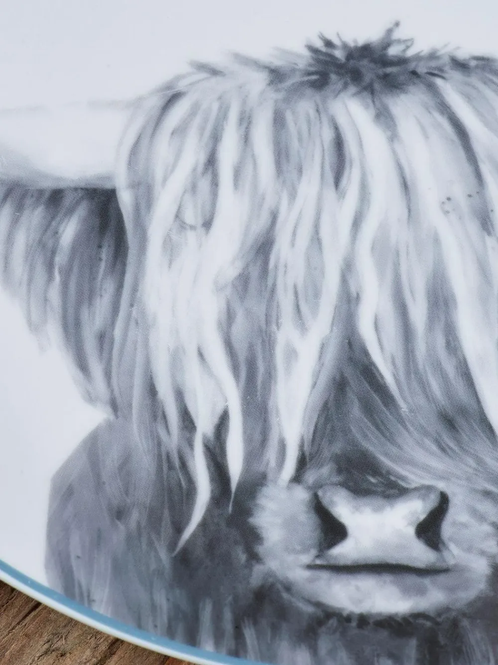 Sale Next Set of 4 Grey Hamish Dinner Plates