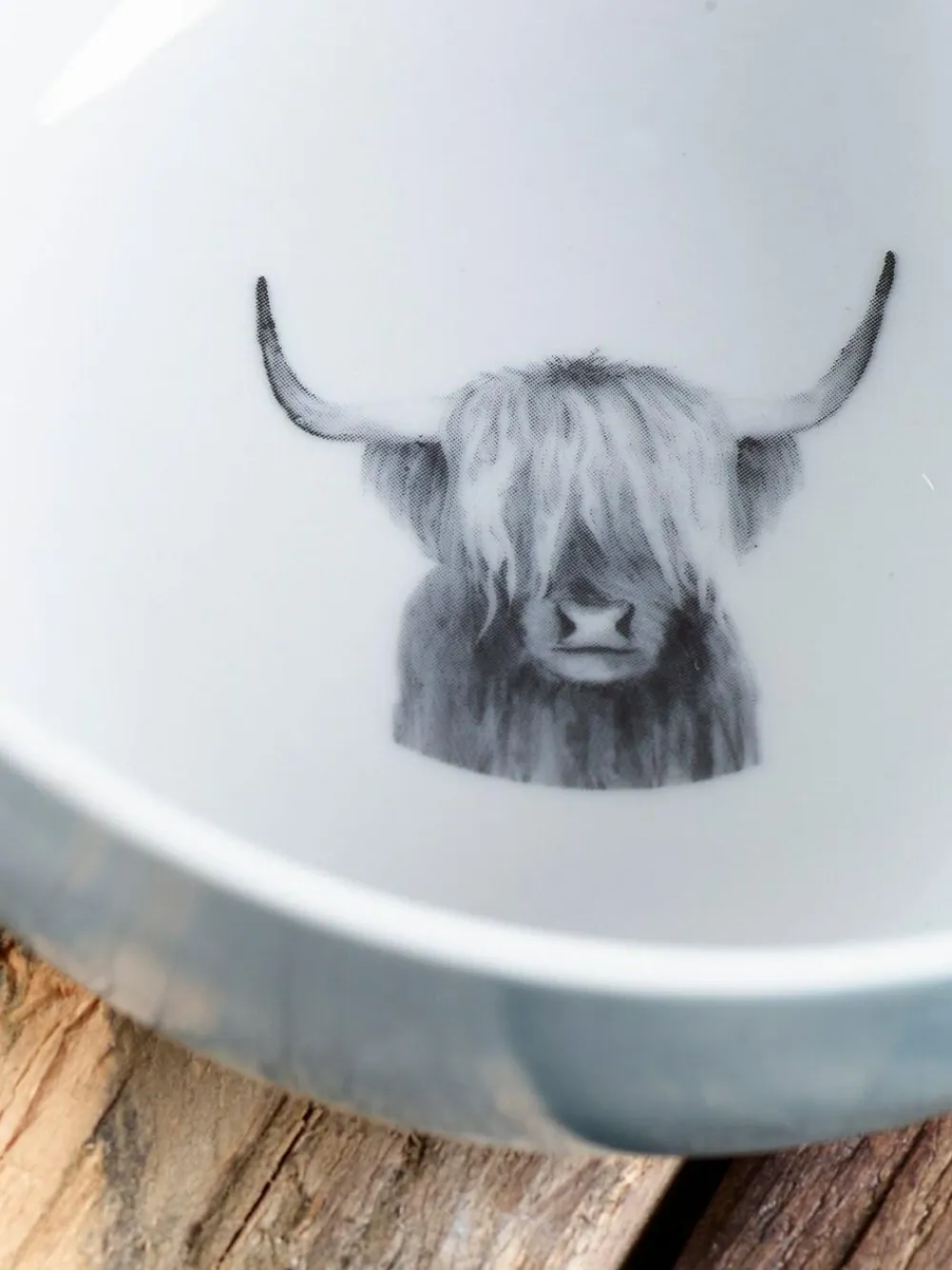 Next Set of 4 Teal Blue Hamish Bowls^ Dinner Sets & Pasta Bowls