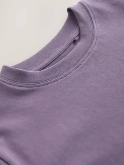 Next Soft Purple Regular Fit Short Sleeve T-Shirt (3-16yrs)^BOY T-Shirts