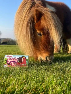 New United Odd Socks Pink Giddy Up Girls Socks 6 pack