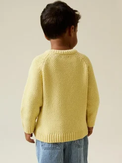 Next Chenille Knitted Crew Neck Jumper (3mths-7yrs)^BOY Knitwear|Knitwear