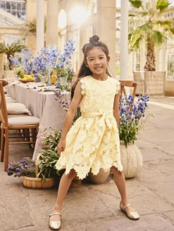 Hot Next Lace Occasion Dress (3-16yrs) Yellow