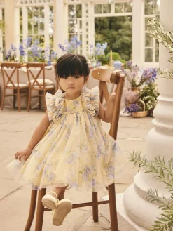 Next Ruffle Shoulder Mesh Dress (3mths-7yrs)^ Dresses