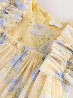 Next Ruffle Shoulder Mesh Dress (3mths-7yrs)^ Dresses